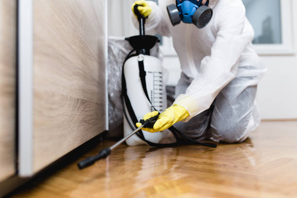 Best Pest Removal Services  in Notre Dame, IN