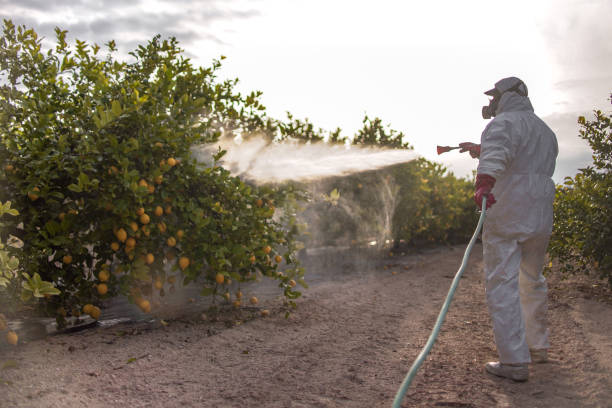  Notre Dame, IN Pest Control Pros