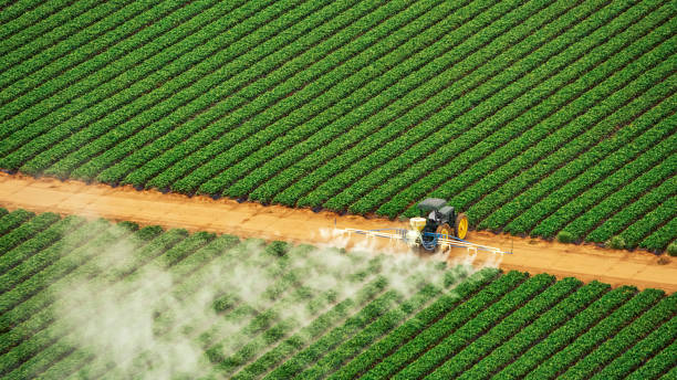 Best Commercial Pest Control Services  in Notre Dame, IN