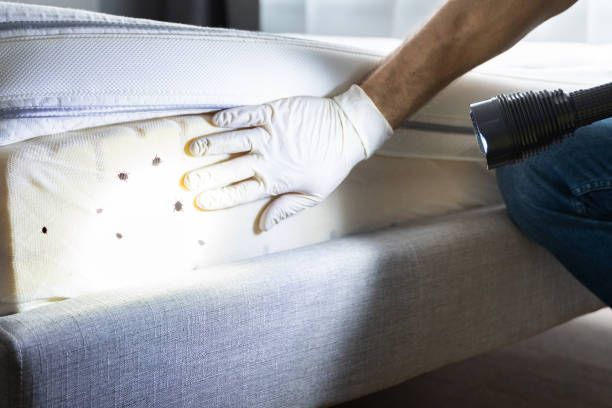 Best Pest Prevention Services  in Notre Dame, IN